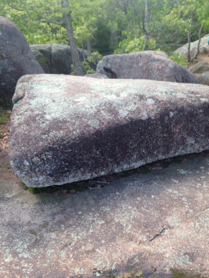 13076740_1240299405998807_666668604737111733_n