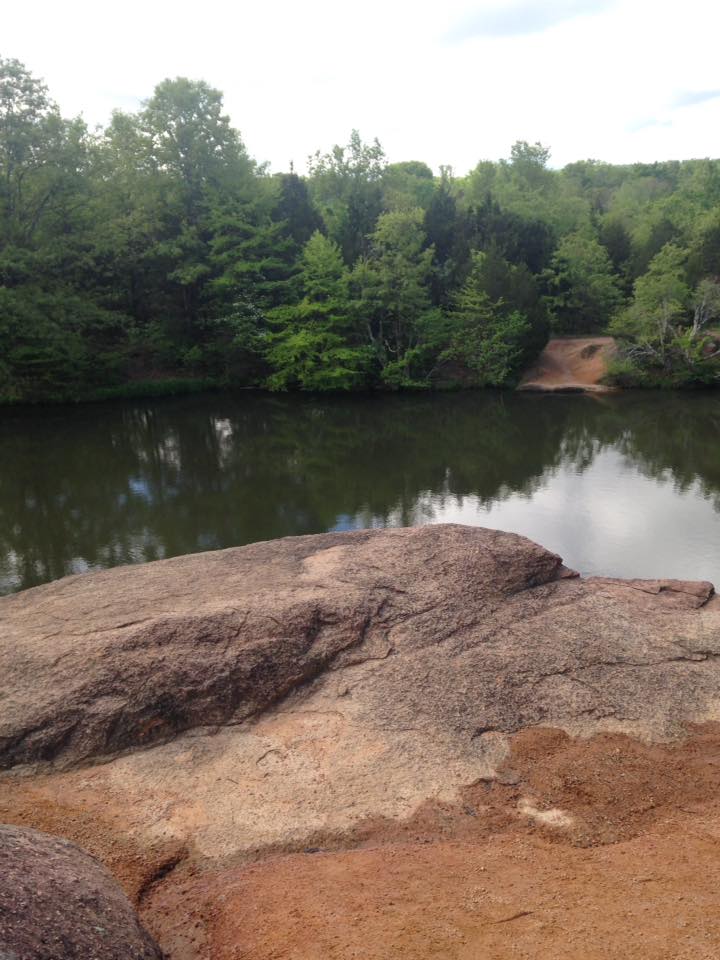 13087291_1240299252665489_416693379889149084_n