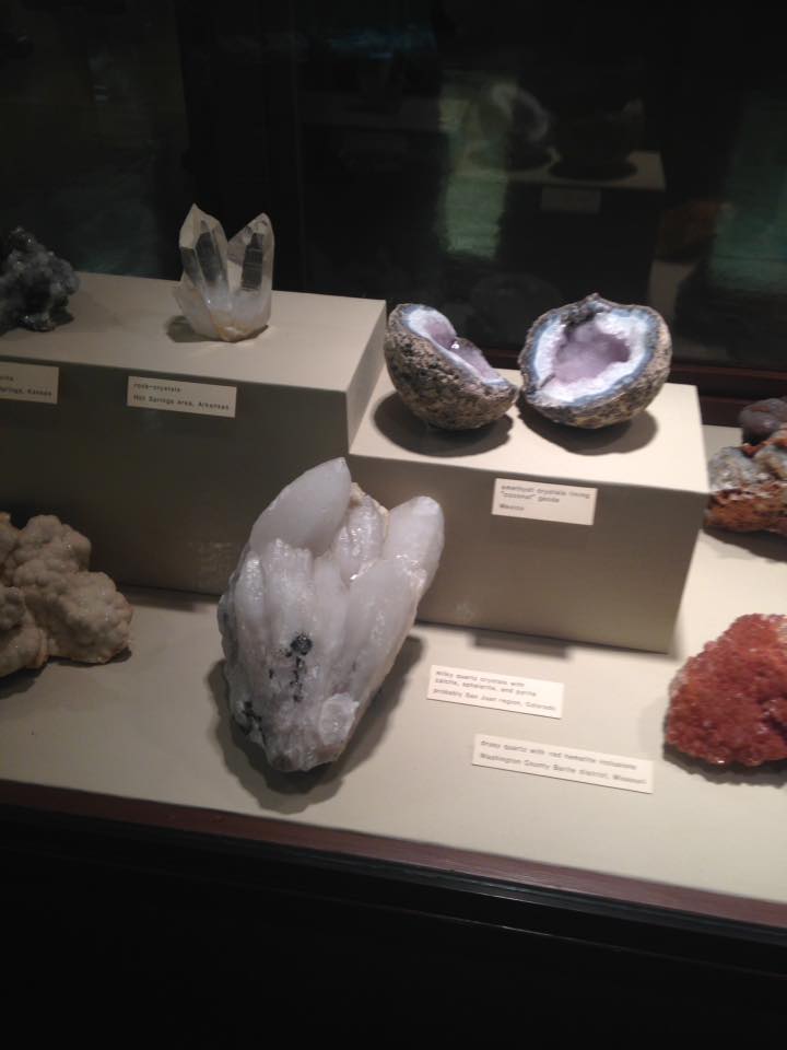 13087405_1240451559316925_6534494772397343758_n