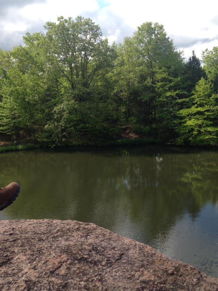 13087802_1240298939332187_7870358679511810533_n