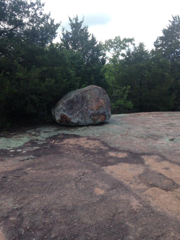 13087803_1240299472665467_1020274670625576110_n