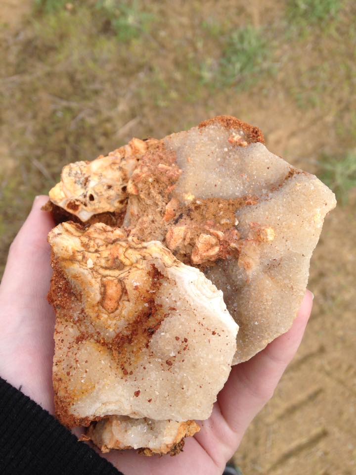 13091899_1240260199336061_4257216655463382825_n