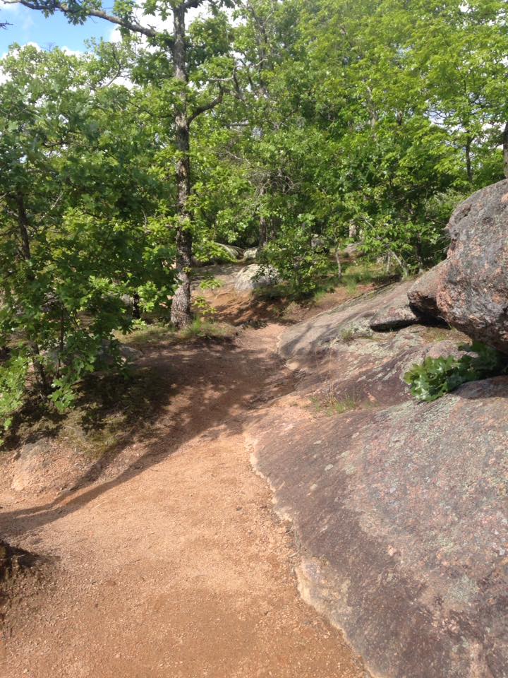 13094300_1240298985998849_7901830540871740475_n