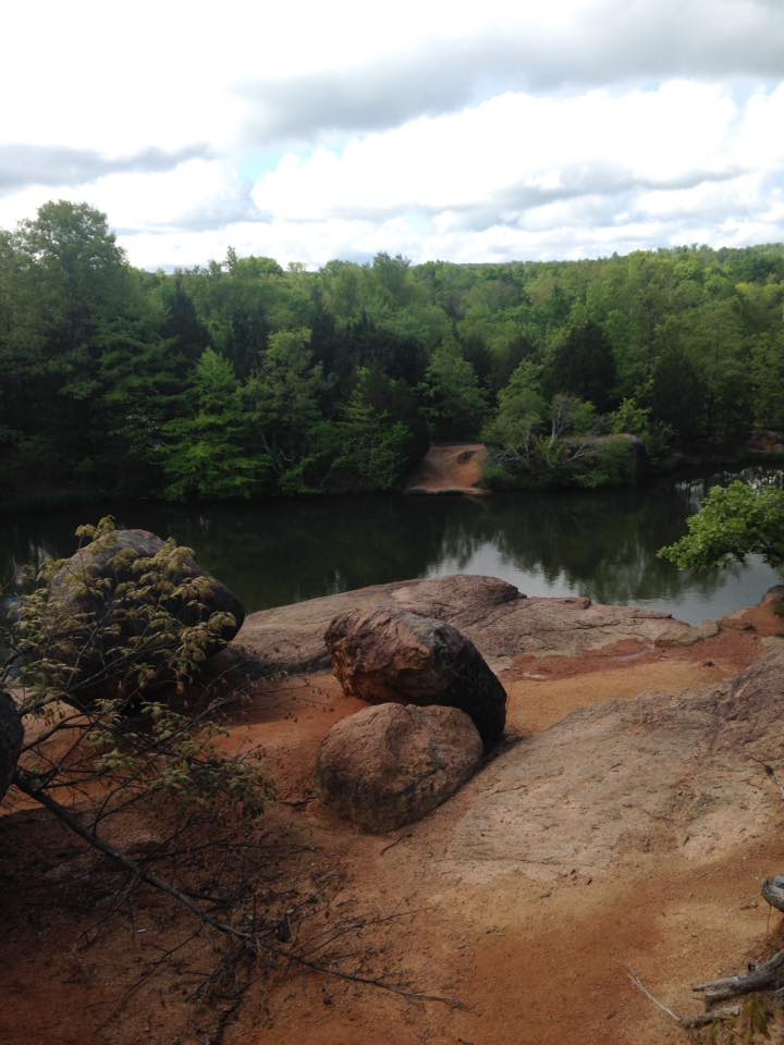 13095948_1240299262665488_4236425354712863022_n