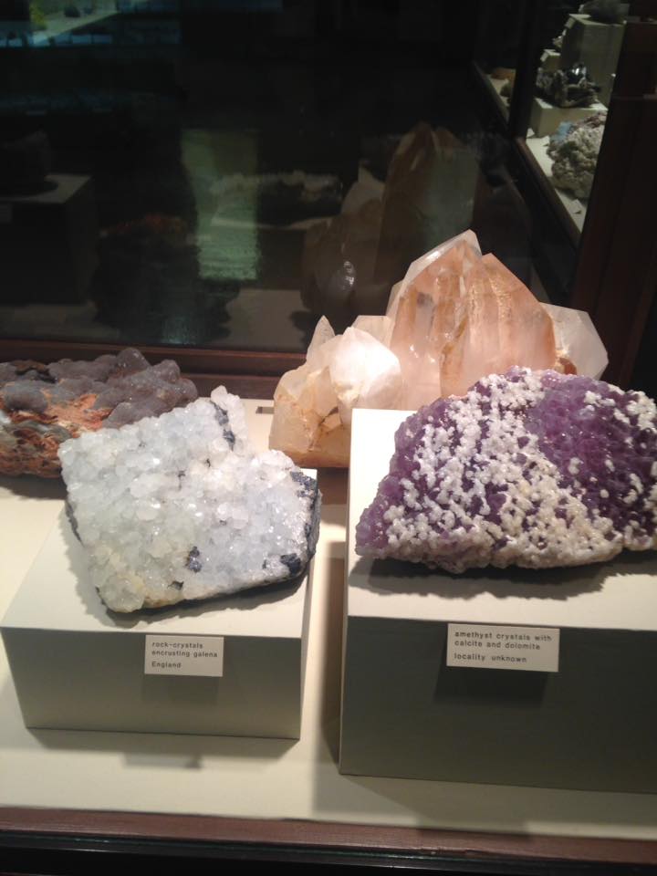 13096141_1240451575983590_6478890102064163997_n