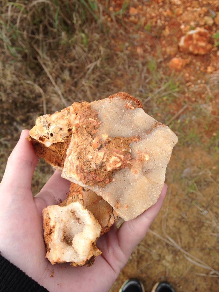 13096206_1240260222669392_6121397010039846898_n