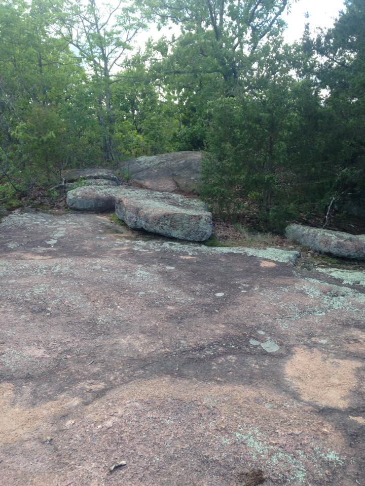 13102756_1240299509332130_3150347060530601701_n