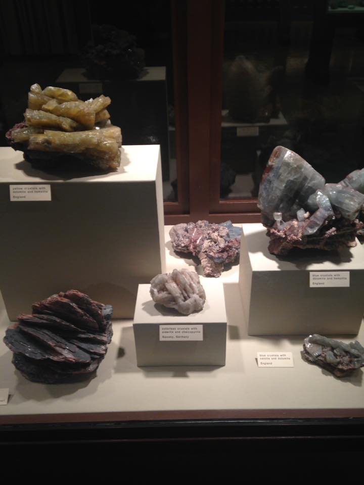 13102838_1240451592650255_9169386089242942225_n