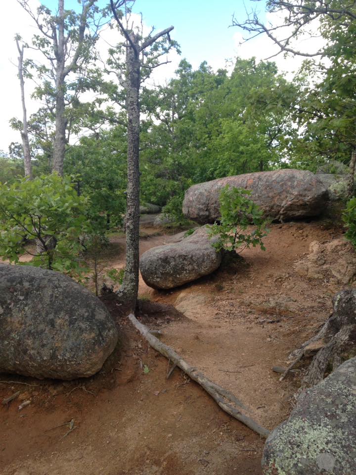 13103409_1240299292665485_2889425612411340240_n