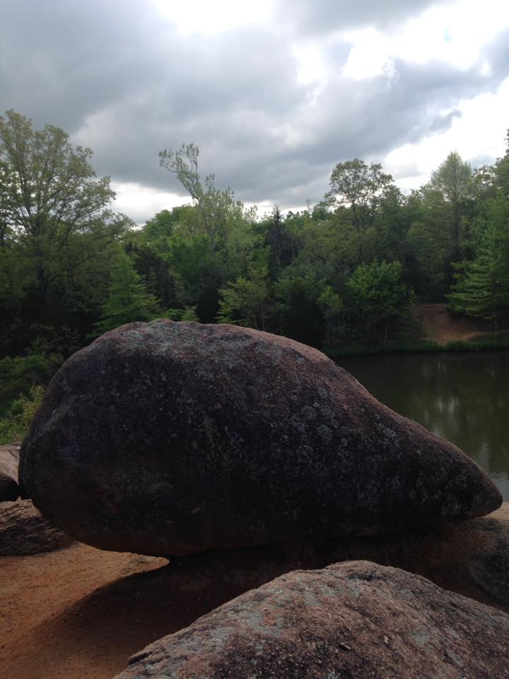 13103534_1240299229332158_1252641440648987255_n