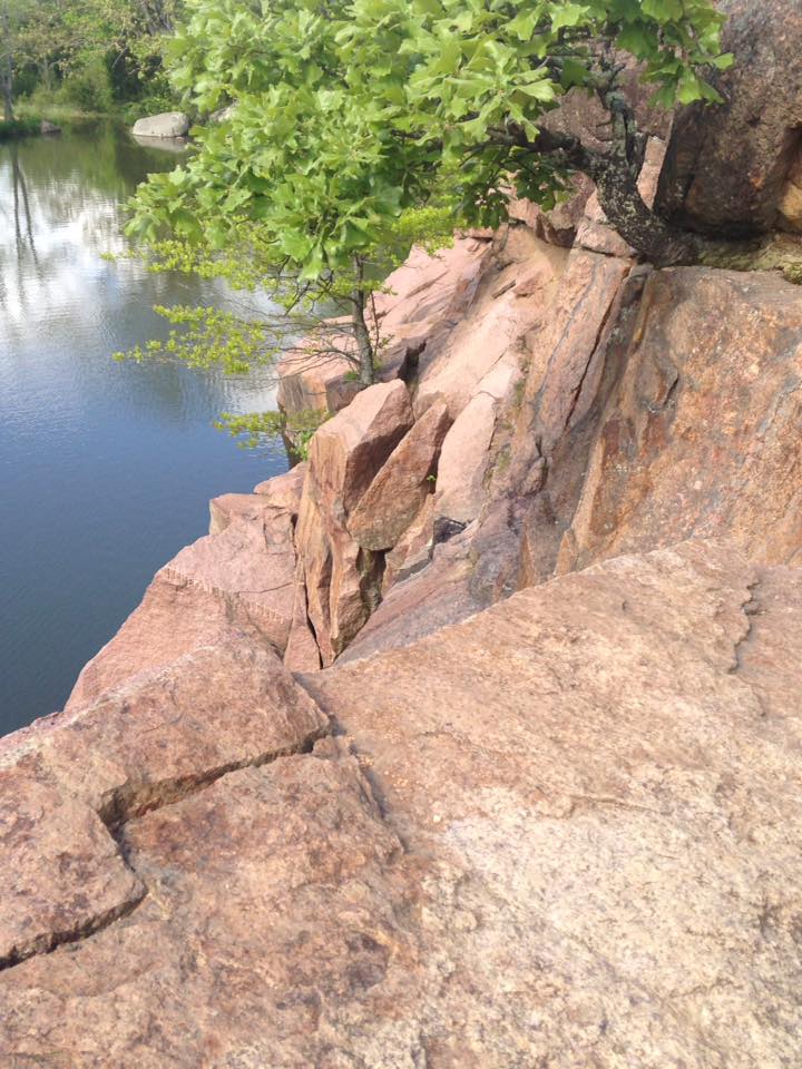 13124780_1240298899332191_2901811646231931009_n