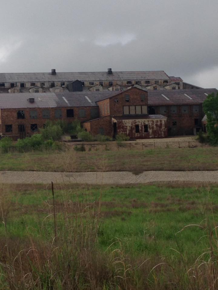 13133241_1240260409336040_8978500297043169284_n