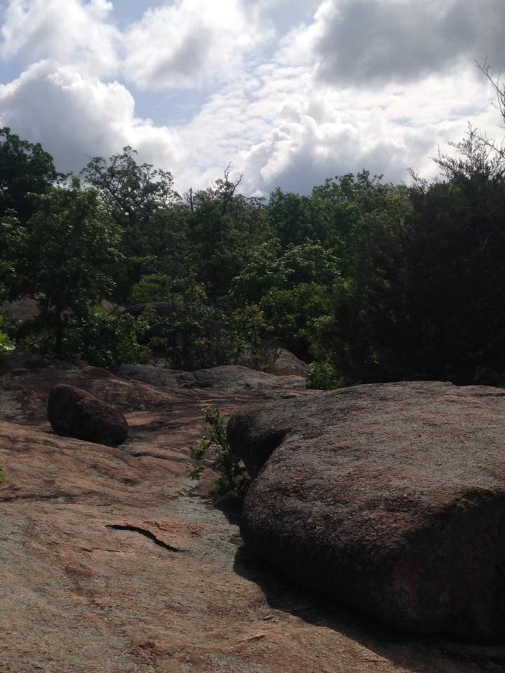 13138783_1240298825998865_632115425637620017_n