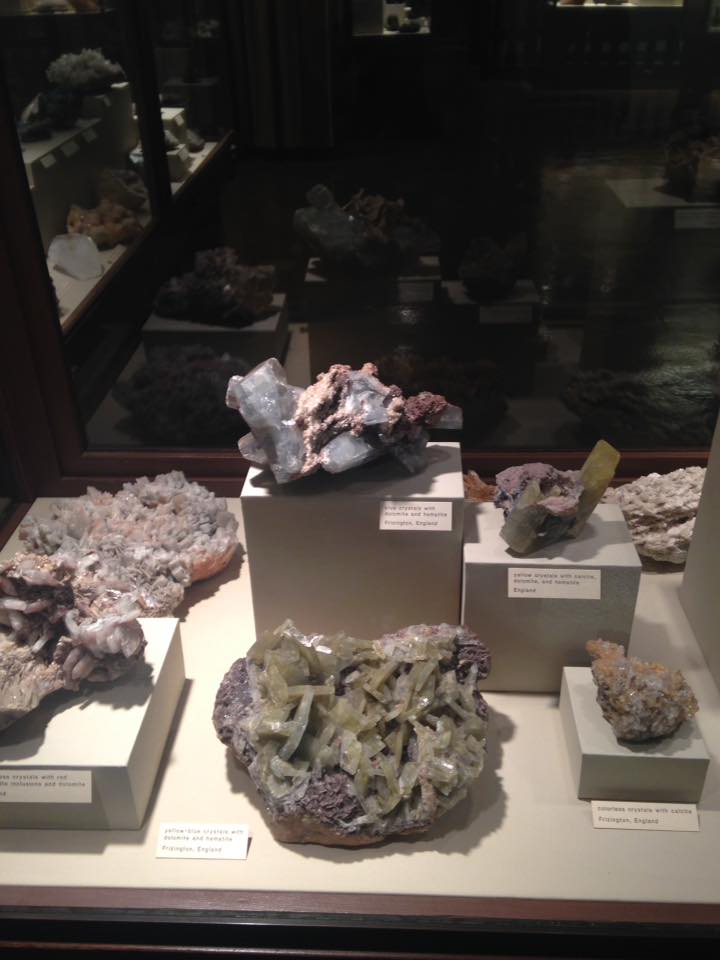 13164356_1240451612650253_4721736663514765852_n