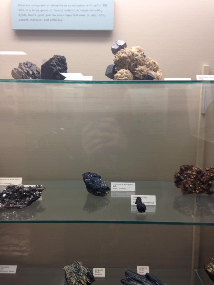 13165870_1240451625983585_6458386682521744596_n