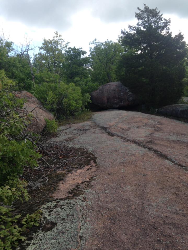 13165882_1240299419332139_8951874310022744520_n