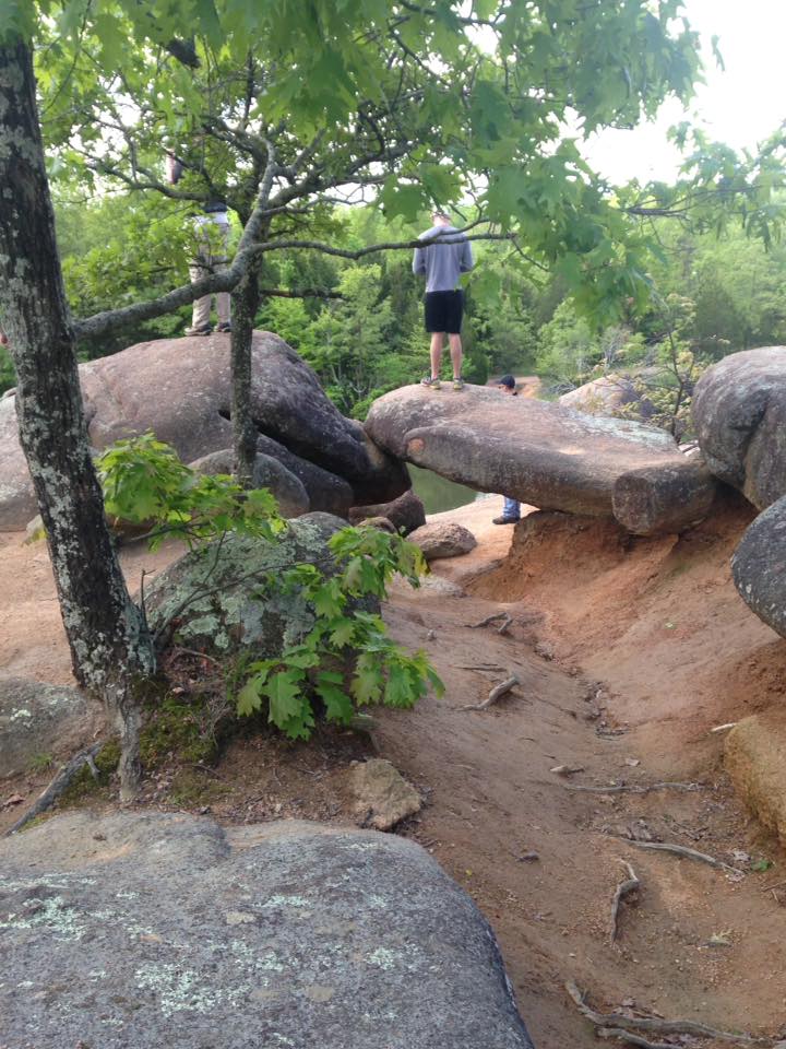 13173743_1240299382665476_2838281468617239674_n