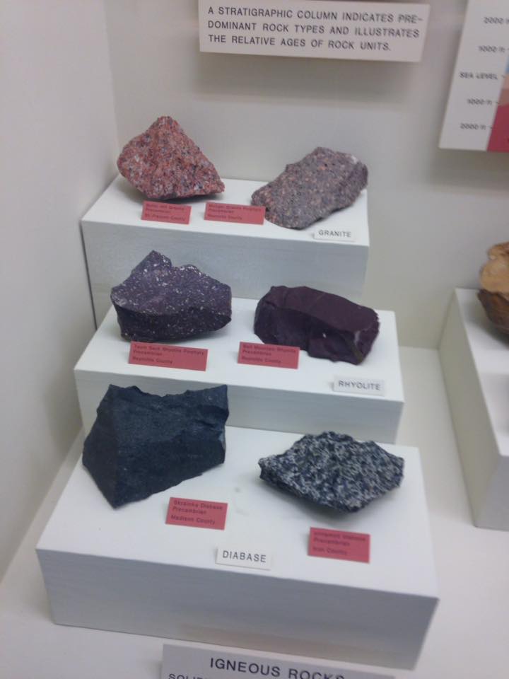 13173890_1240451639316917_489058448845247477_n