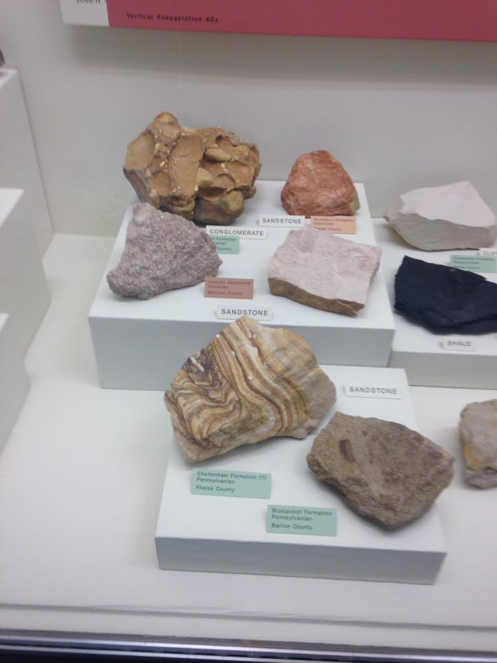 13173895_1240451645983583_7961736227690423580_n