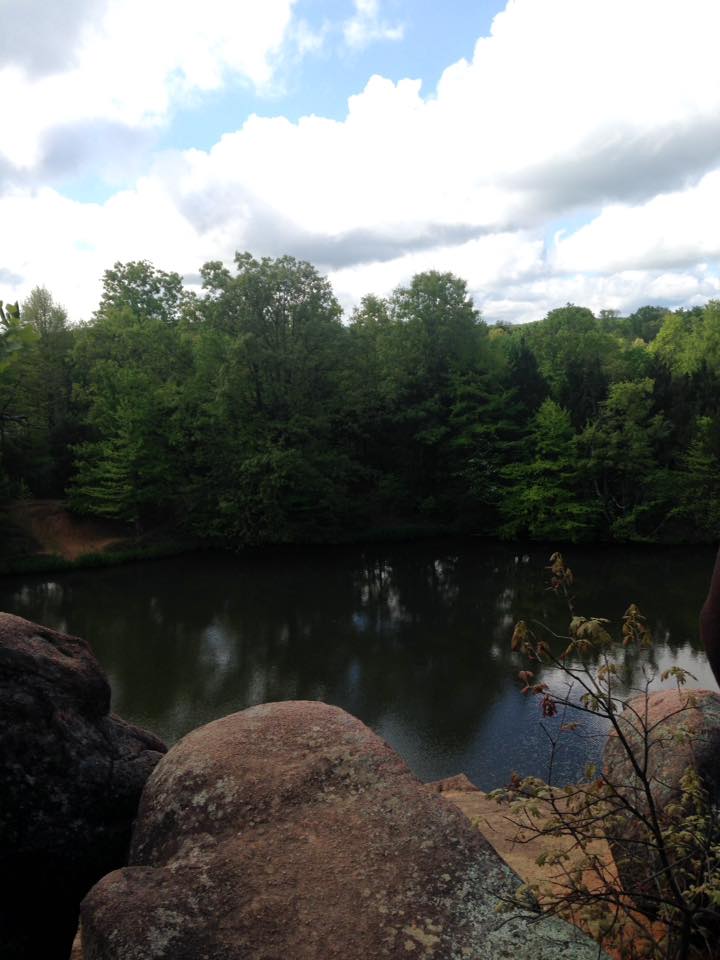 13173899_1240299055998842_891224838322462805_n