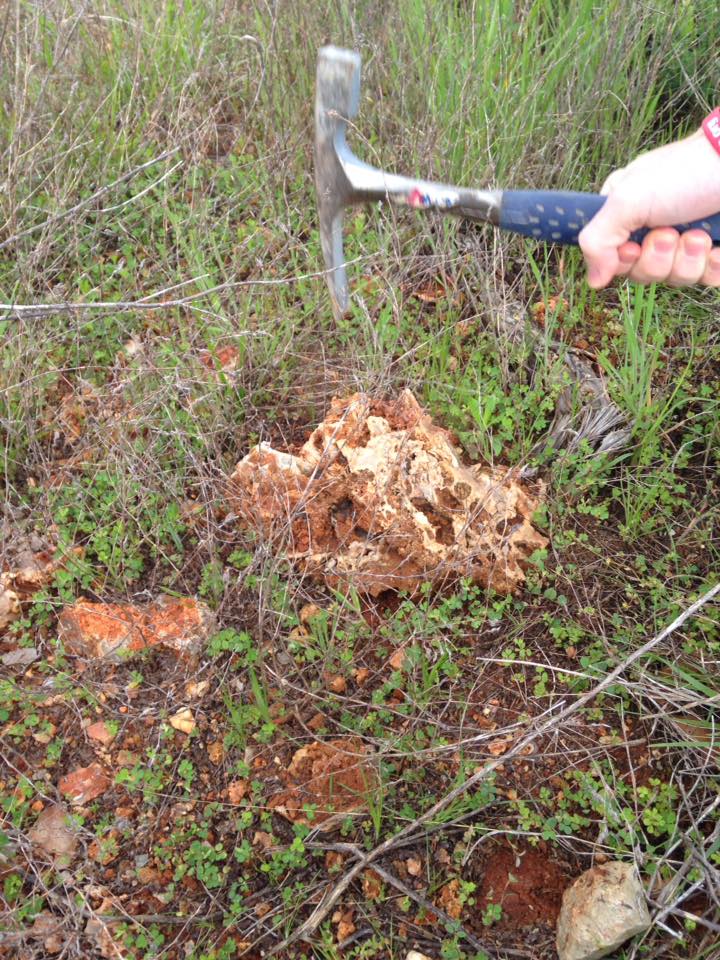 13174134_1240260356002712_2187395173162819458_n