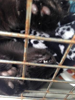 10389068_1199808433381238_1814642044651555027_n