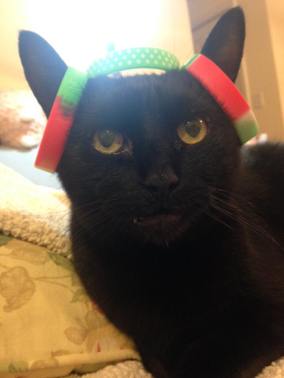 12510474_1157805097581572_8796797798559582415_n