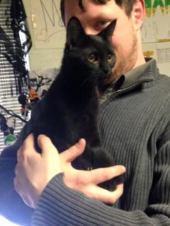 12717348_1179751588720256_3553465067799813424_n