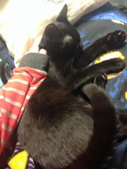 12743697_1179761368719278_5355329127961163948_n