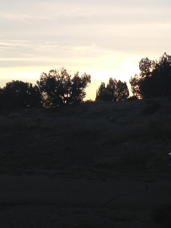 13124948_1241523935876354_5894138509705103089_n