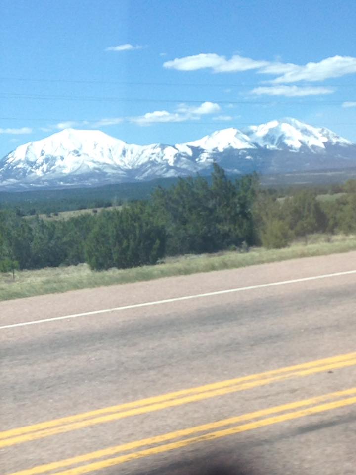 13139146_1241652752530139_7046493928249541770_n