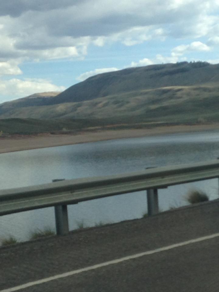 13151832_1241850592510355_1257067816483394431_n