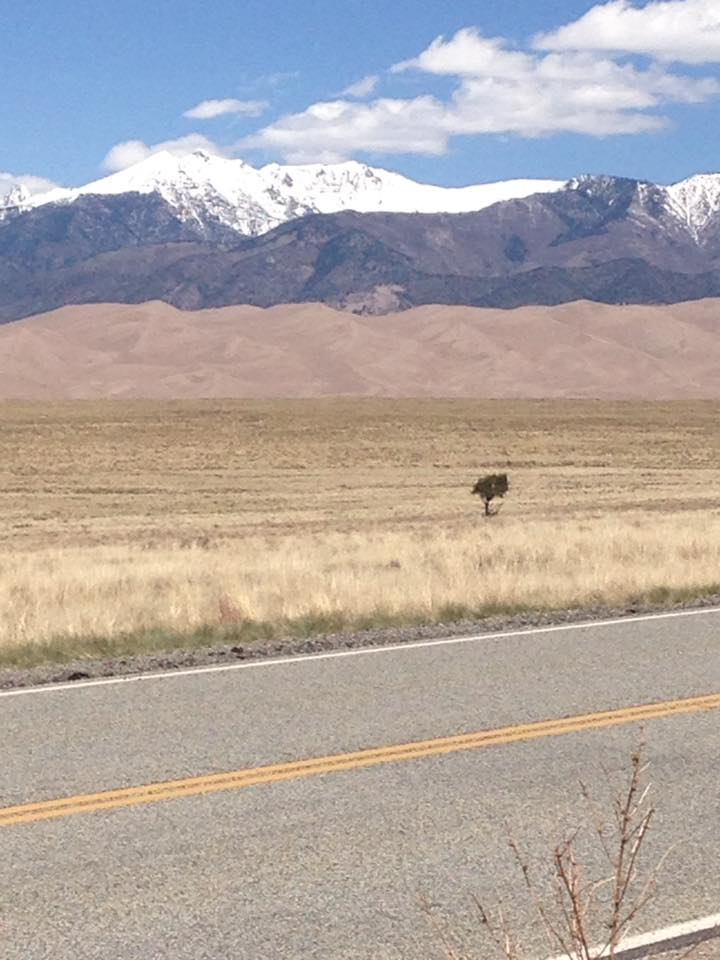 13177126_1241695335859214_382395055157103541_n