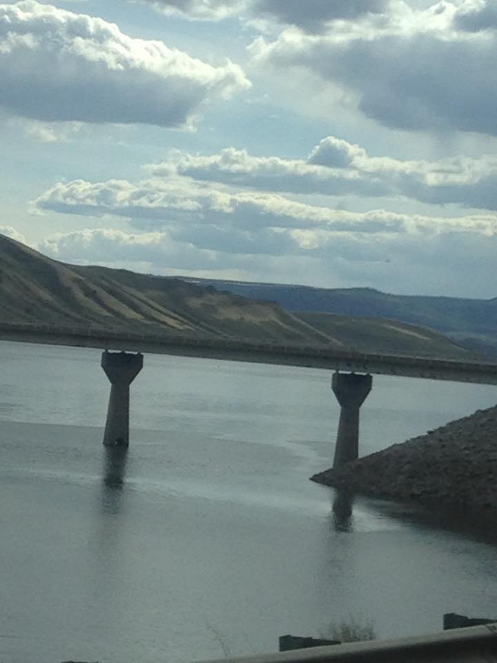 13177600_1241850635843684_8726368944892452576_n