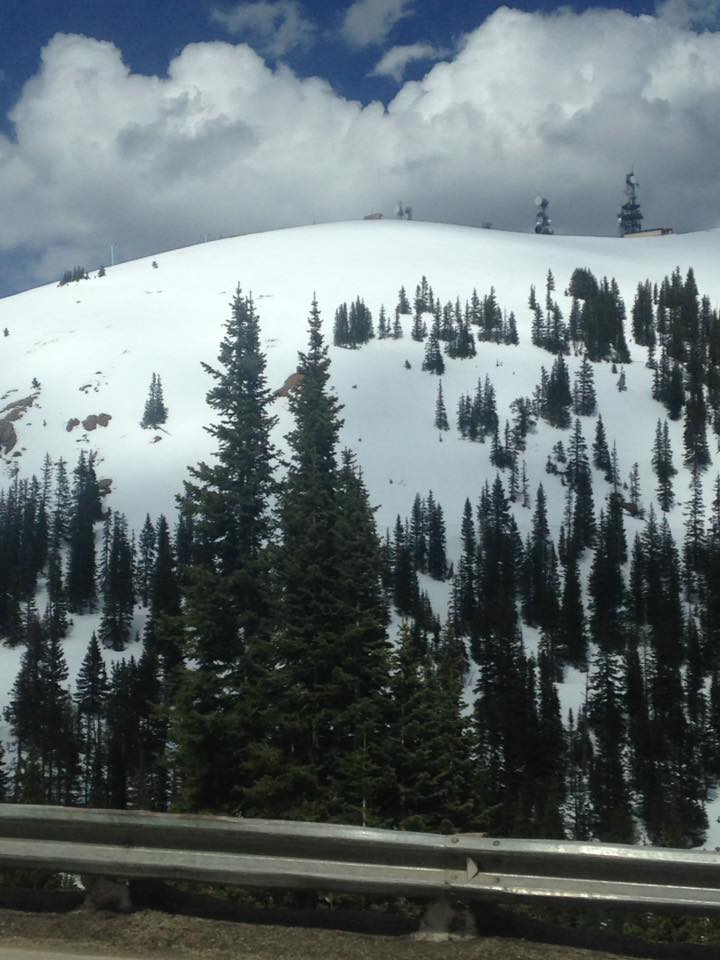 13177697_1241841149177966_9051336772006047339_n