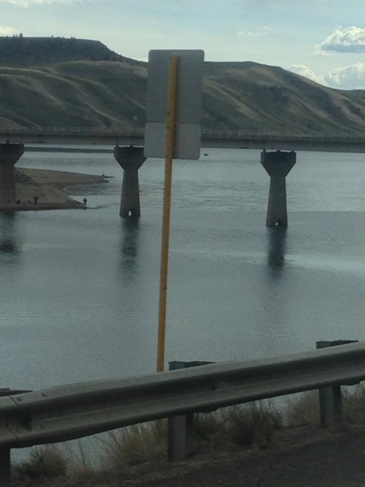 13177721_1241850619177019_4078843176262360246_n