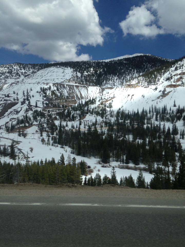 13179375_1241841159177965_7685744379942871564_n