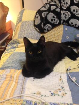 13428632_1270117503016997_4600718599408336896_n