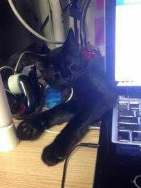 934160_1199808480047900_2261618379579807287_n