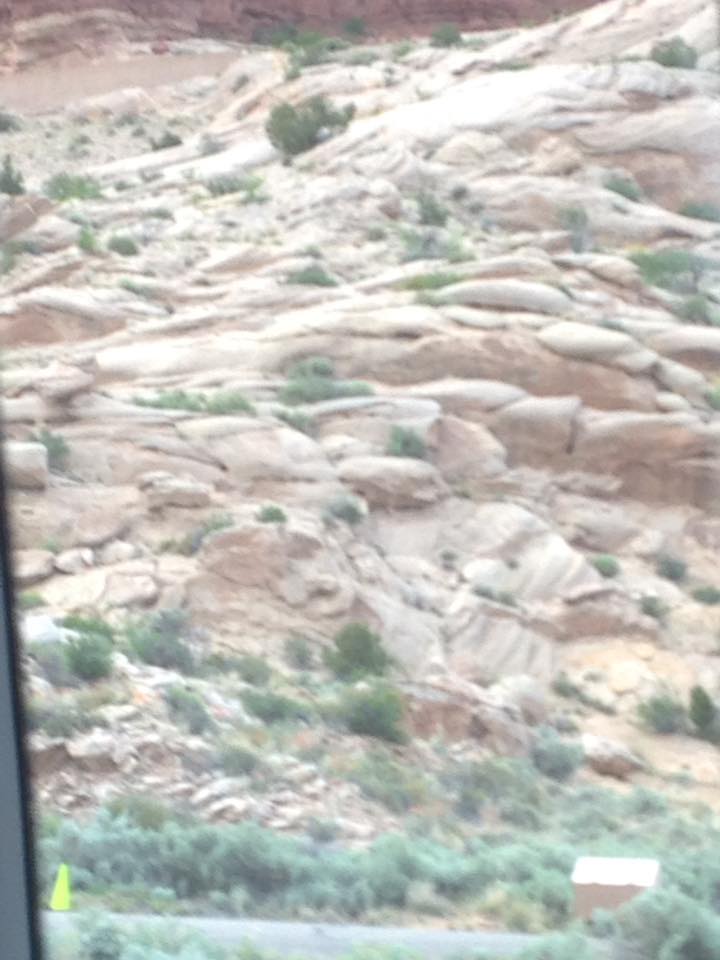 13087917_1242541992441215_6372397906474027525_n