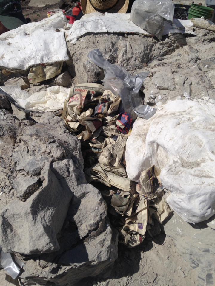 13092104_1246090488753032_1117863828617633216_n