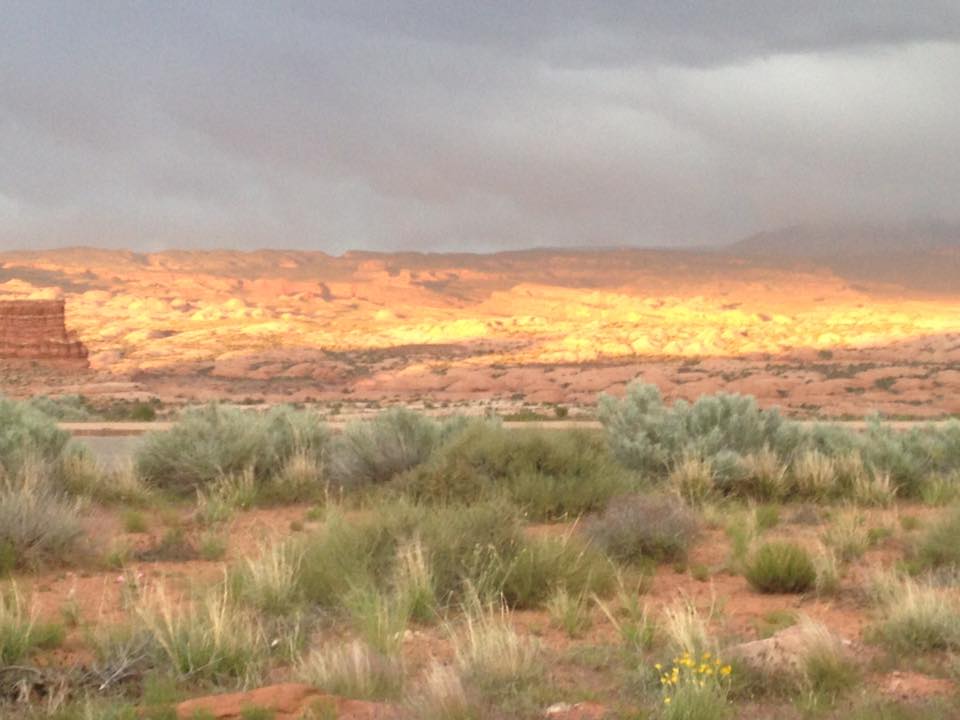 13094243_1242633639098717_9018958038942727265_n