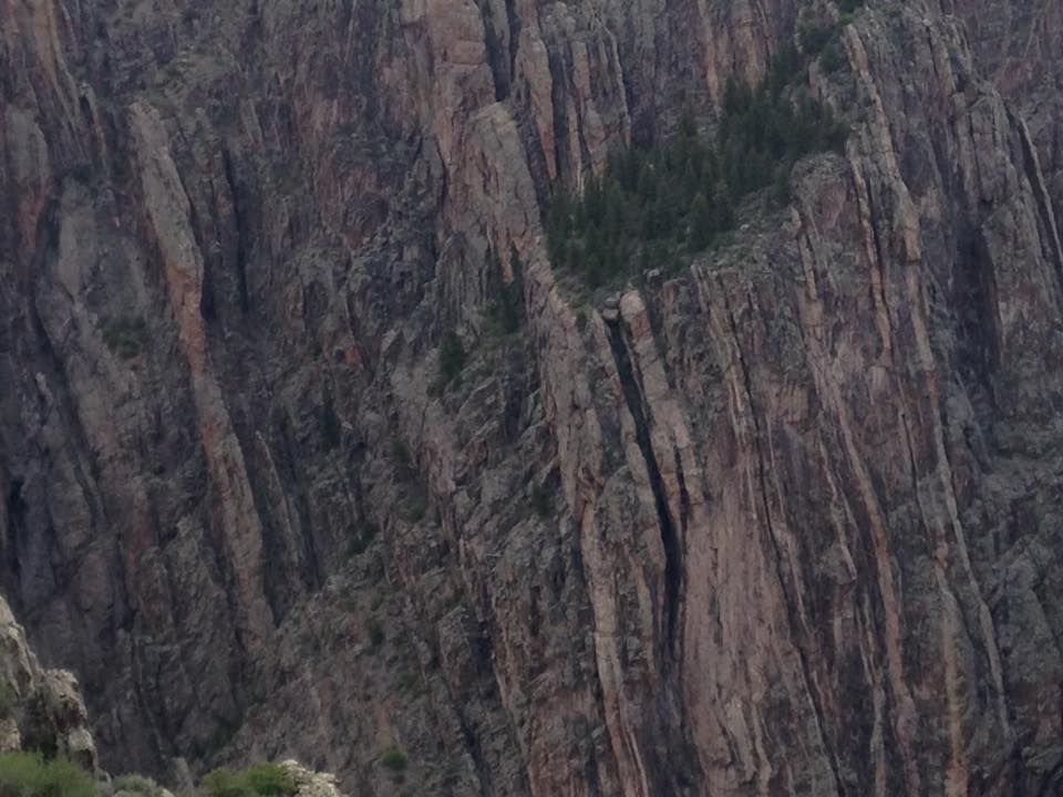 13095754_1242314122464002_6298100703836310756_n