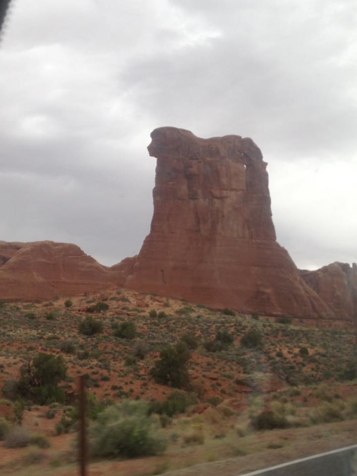 13095919_1242623902433024_8298152571383206044_n