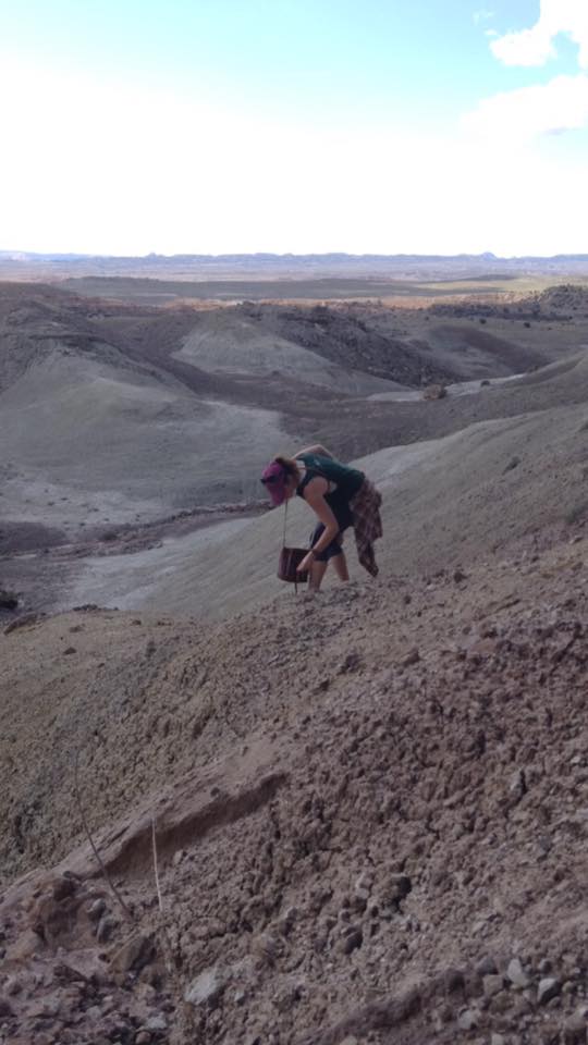 13096117_1244454988916582_8213497841675849892_n