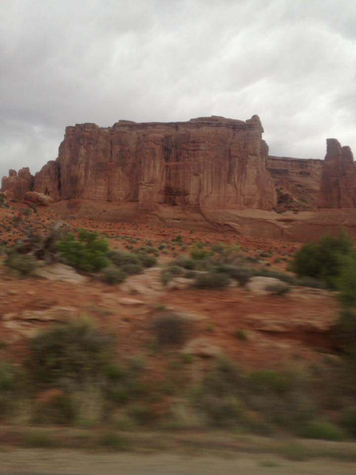 13100876_1242623982433016_8633641784605308115_n