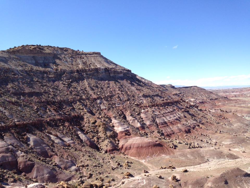 13102678_1245441042151310_8207397109117749146_n