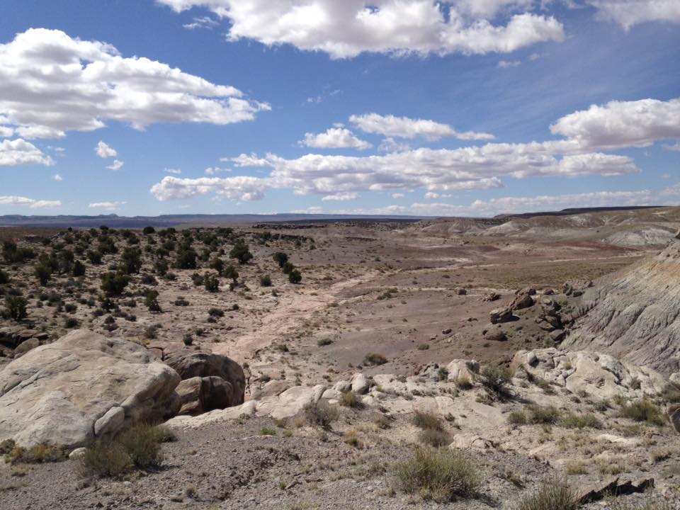 13102863_1244475815581166_8844086389992163044_n