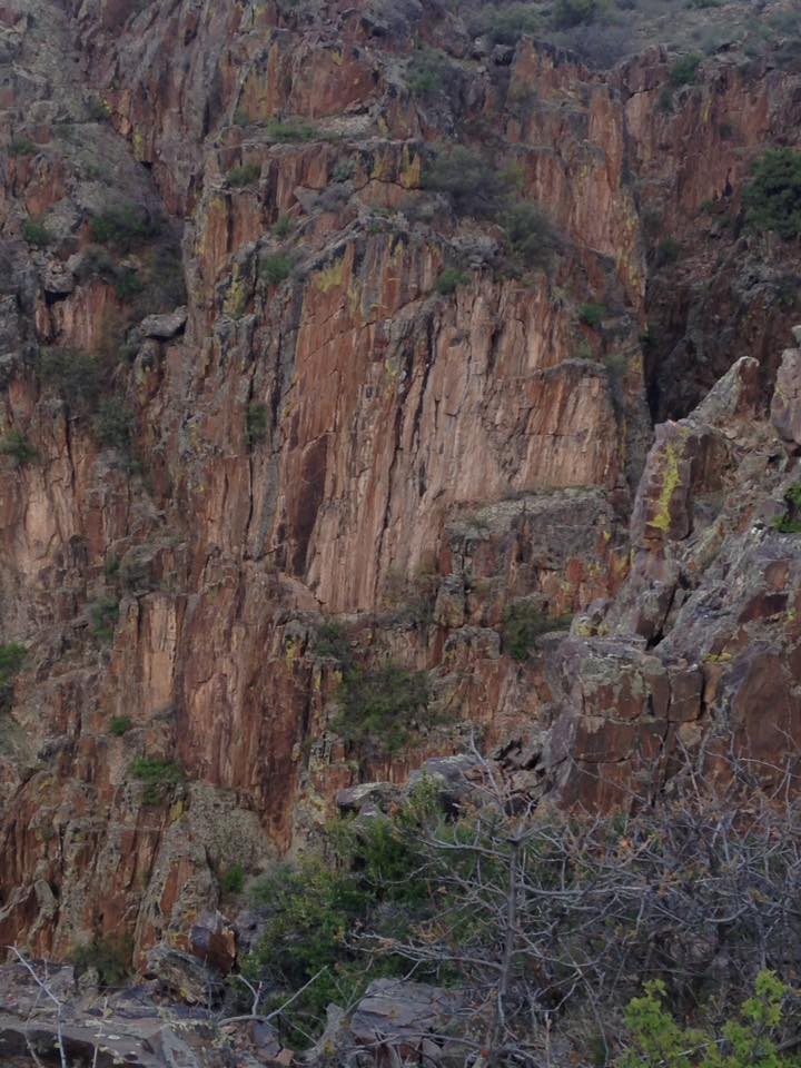 13103277_1242372169124864_5560543931947694216_n