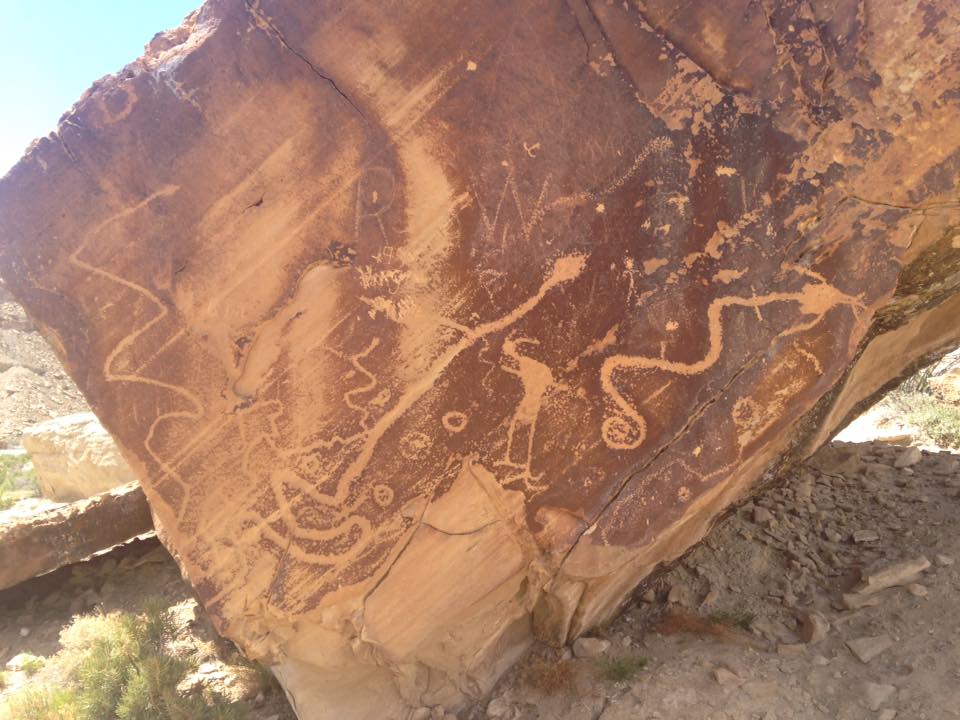 13103365_1243184662376948_2406823111474974541_n